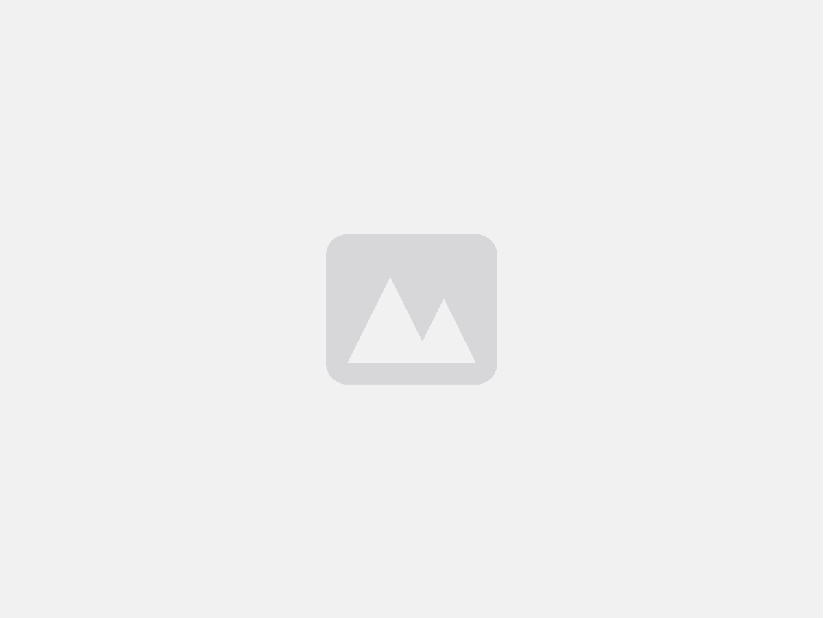 Digital Marketing Services company